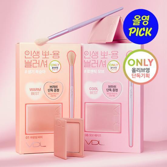 [8월 올영픽] VDL 치크스테인 블러셔 (+브러쉬 기획/단품)