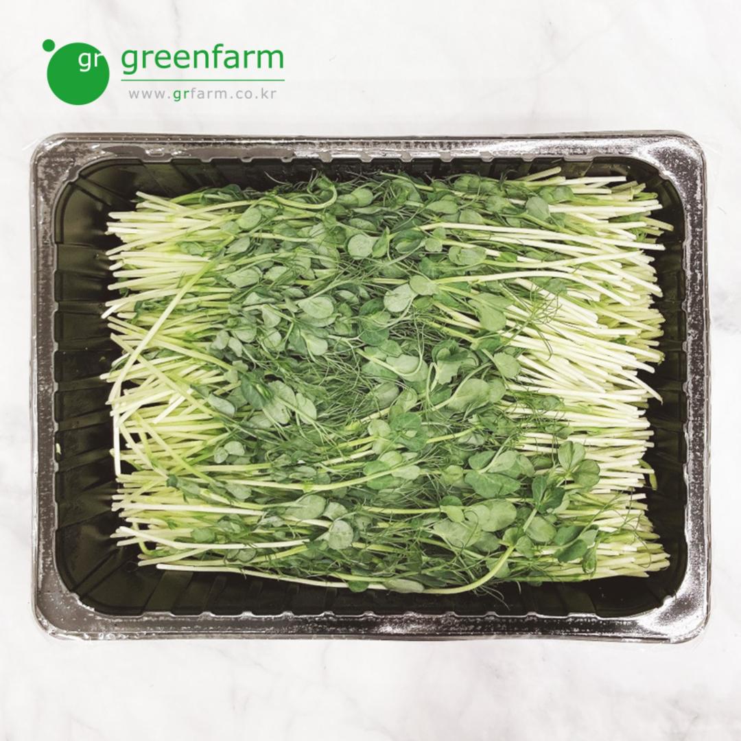 완두순 1팩(500g)