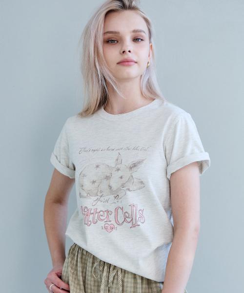 디얼 데니 티-오트밀