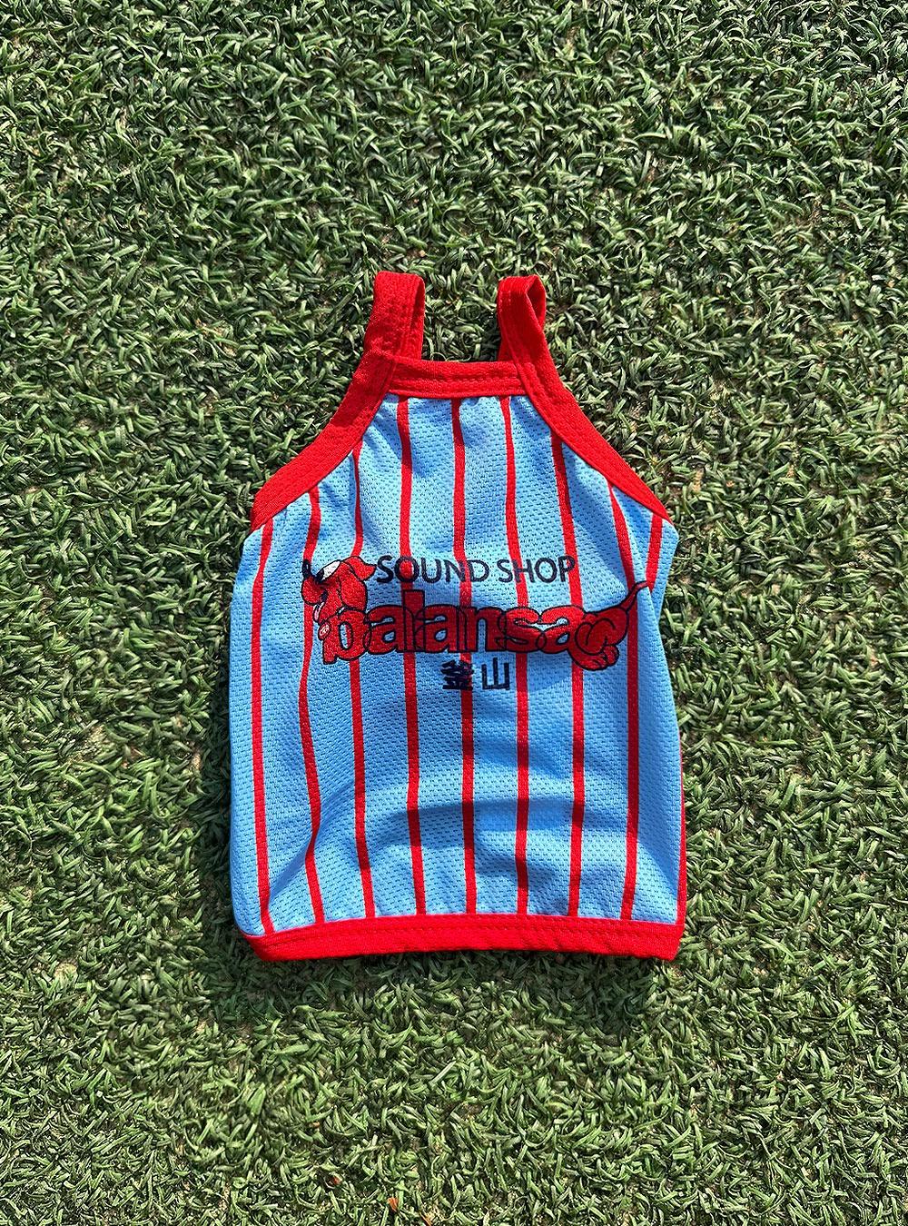 발란사 스포티 스트라이프 스카이