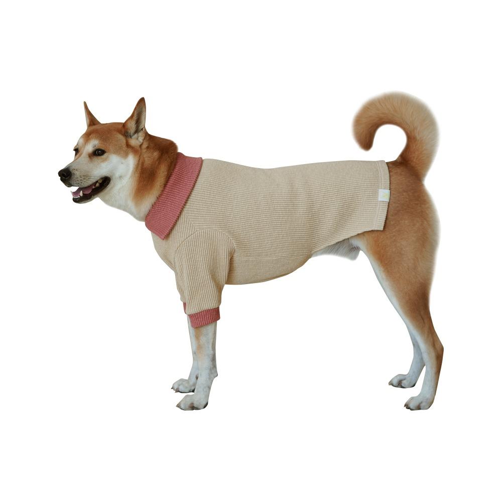 옐로우트라이앵글 배색 카라 니트 (3칼라)