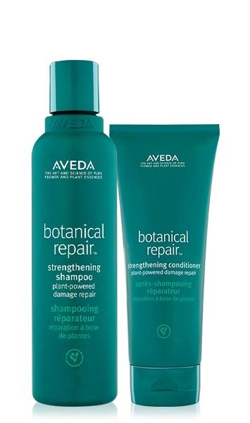 보태니컬 리페어 헤어 케어 세트