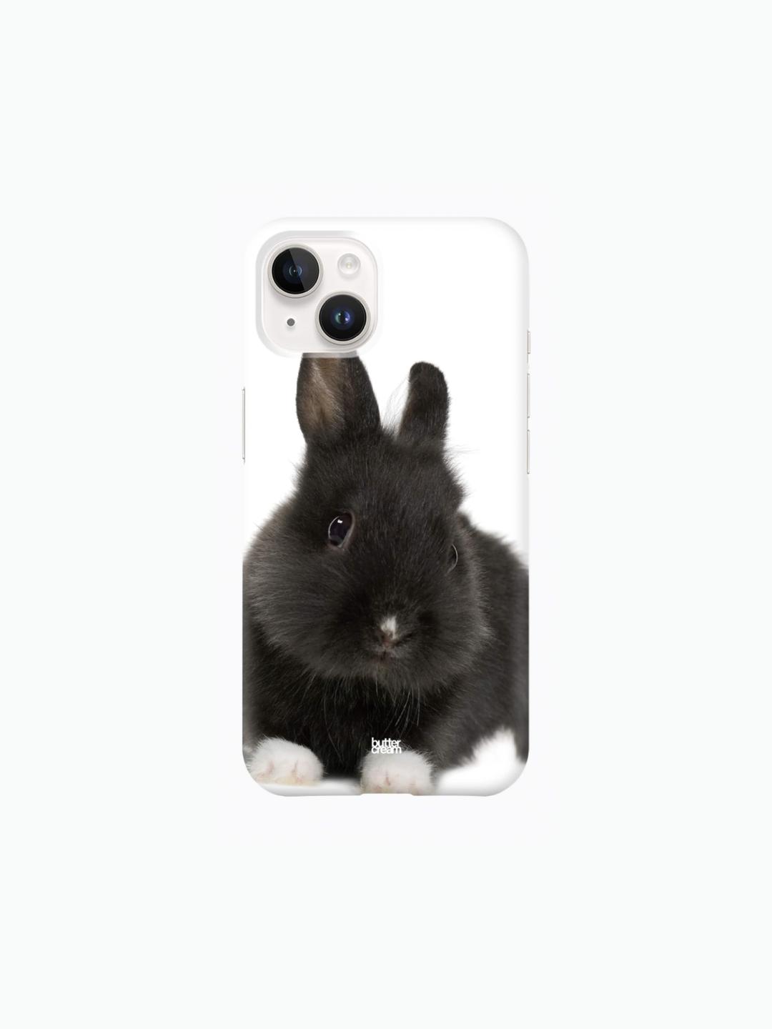 black rabbit