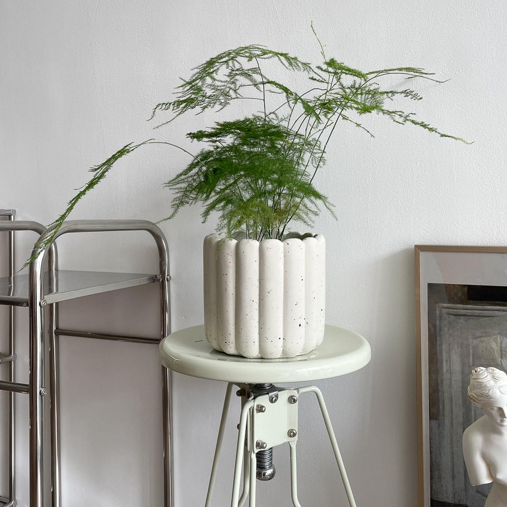 매트 팟 시리즈 오필리아 분갈이 식물 화분 집꾸미기 인테리어 중형 토분