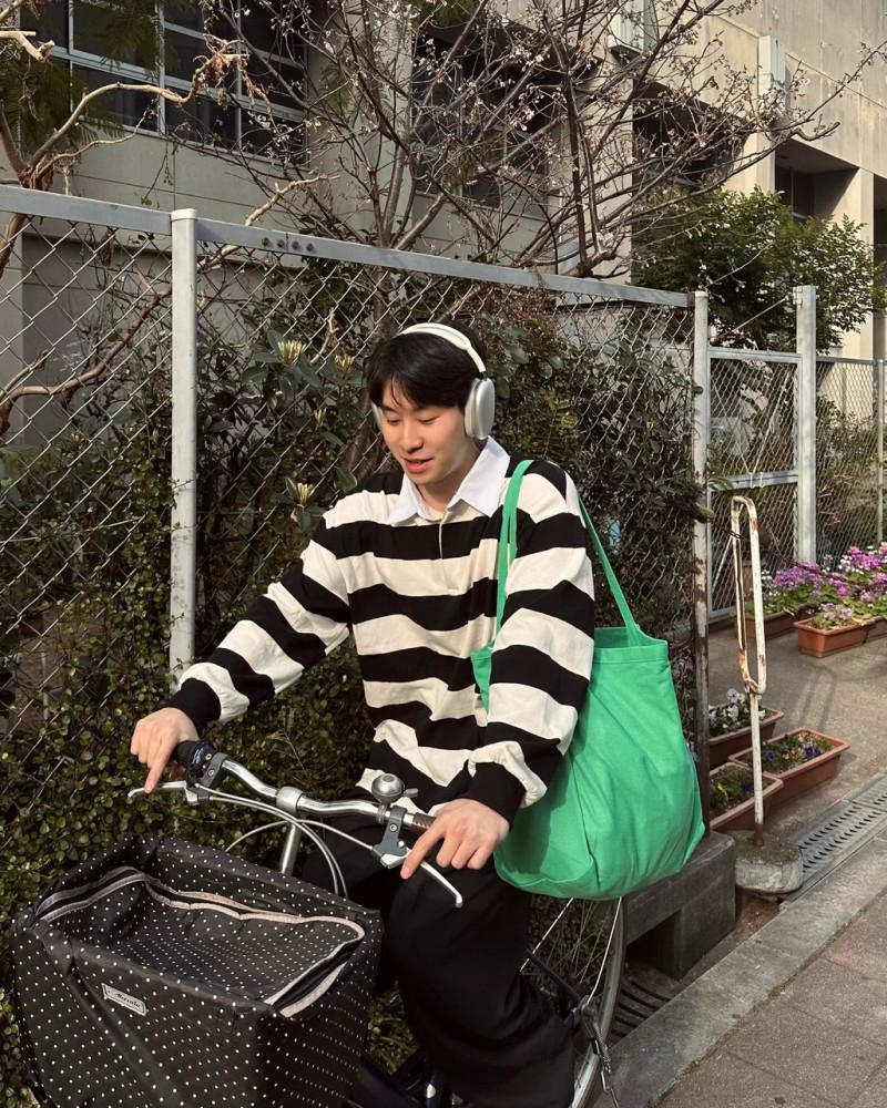 Stripe collar shirts 단가라 카라 티셔츠 PK 스트라이프