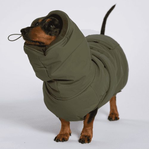 개따뜨텍 강아지 패딩 Khaki