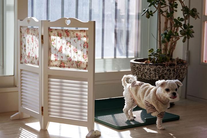 강아지 원목 패드 배변판 가리개 원목 갤러리 패브릭 타이니 파티션