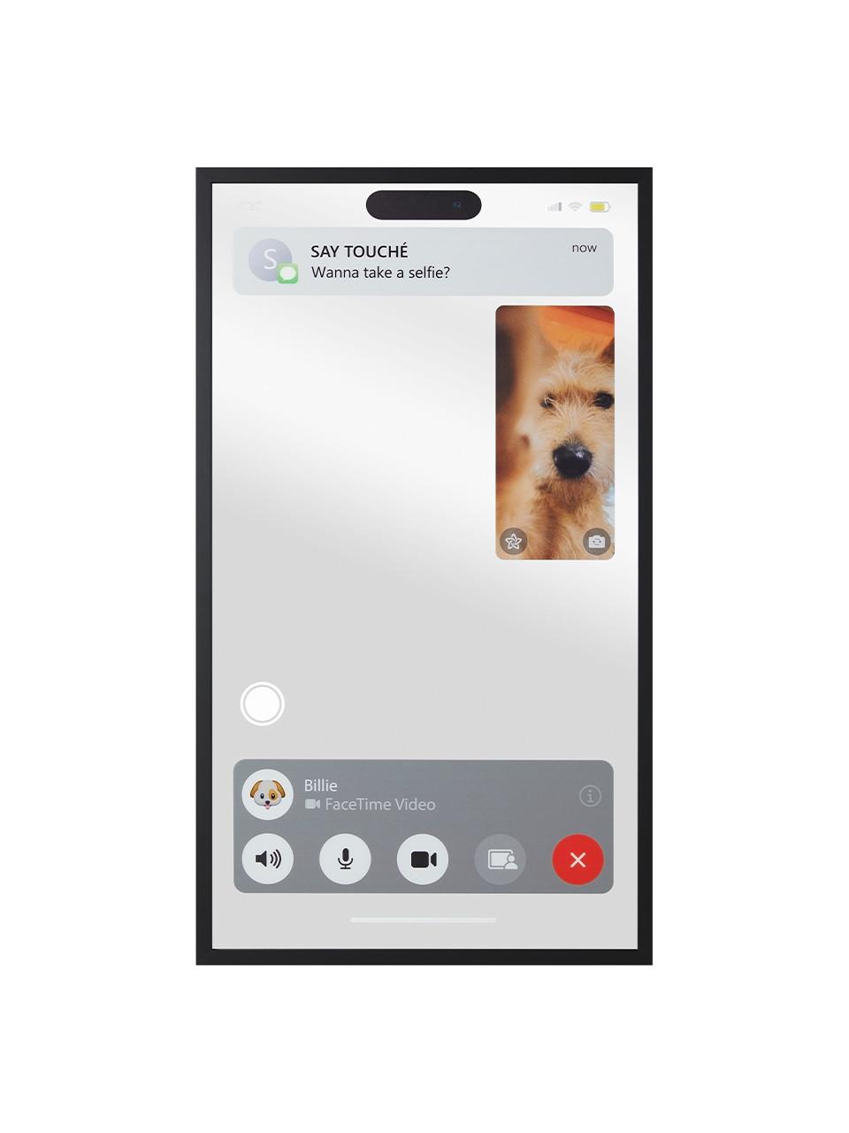 Facetime Mirror