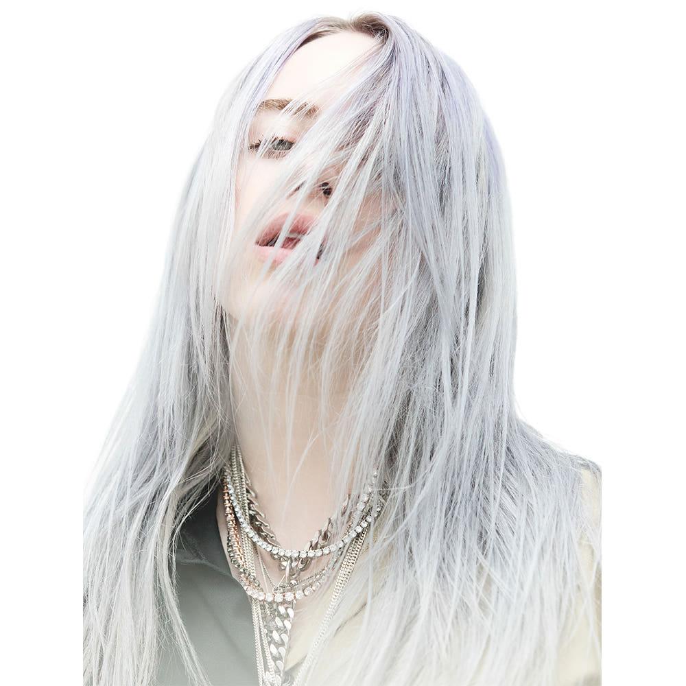 TMC-300 빌리 아일리시 Billie Eilish 대형 포스터 브로마이드 뮤지션 음악 A3