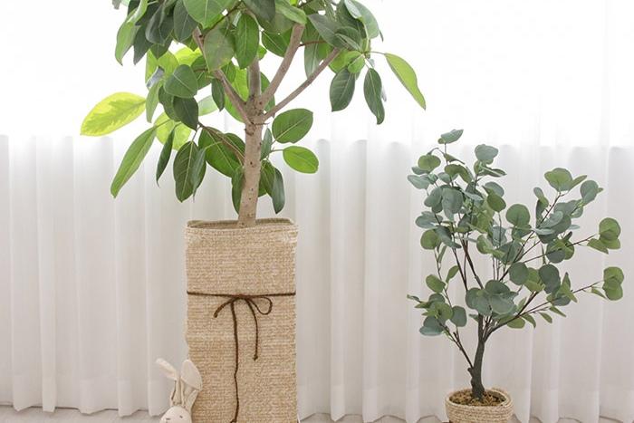 왕골헤링 인테리어 화분커버 XL