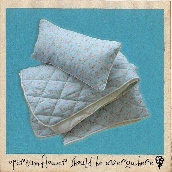 pale blue floral comforter