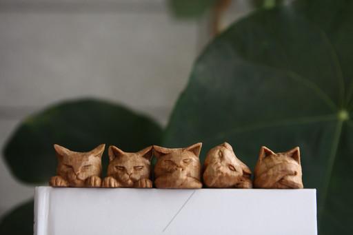 📚책냥이 우드책갈피📖