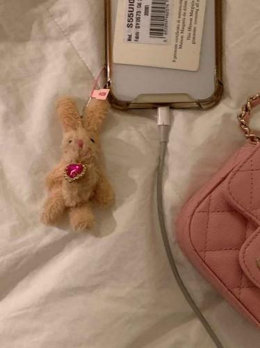 [2월말입고] 브루주아토끼키링