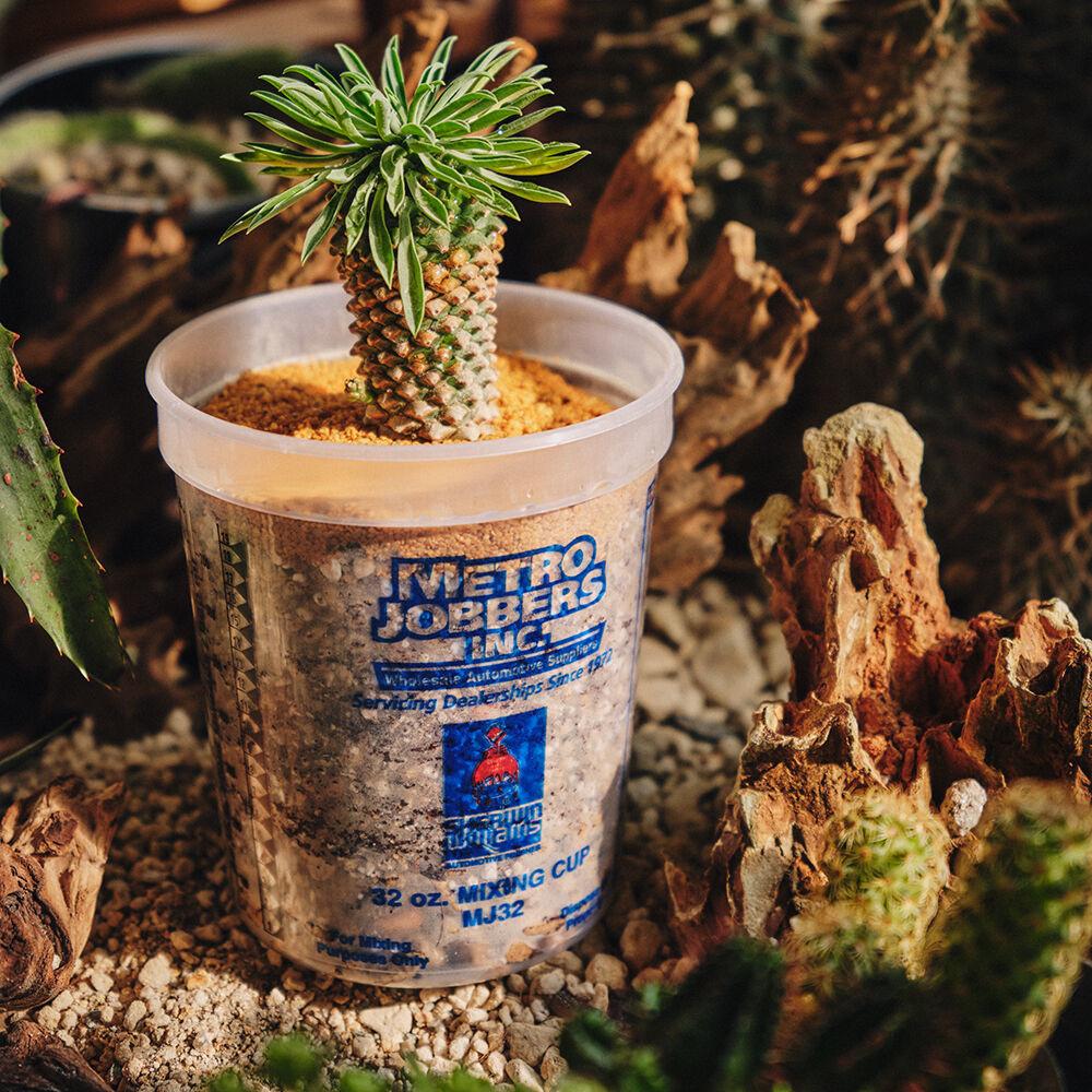 Asianhighway 플랜트 세트 - [괴마옥]