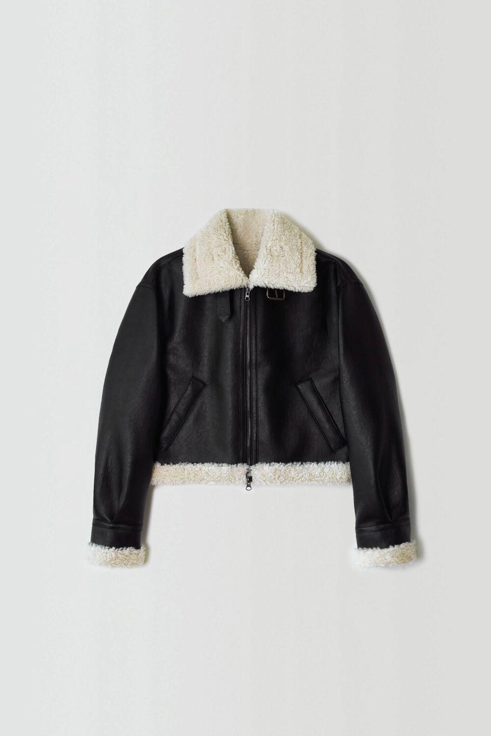 Classic Black Mustang