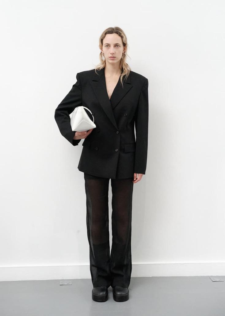 SHEER STRAIGHT FIT PANTS (2COLORS)