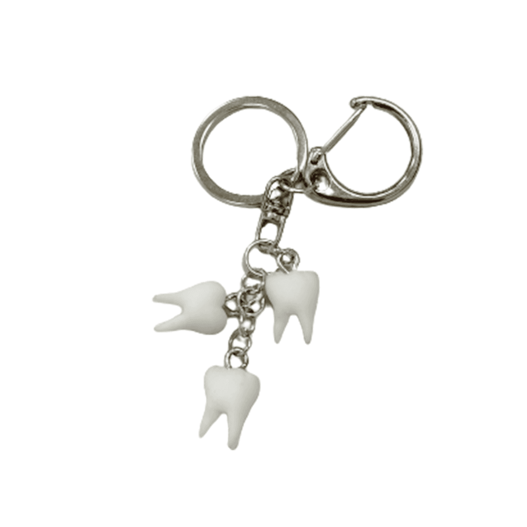 TCM teeth keyring