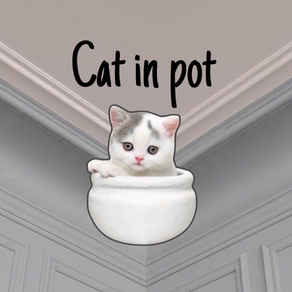 cat in pot griptok : 고양이 도자기 귀여운 그립톡 , 사인코사인