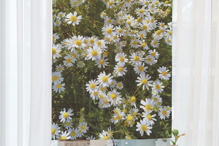 인테리어 패브릭 포스터 / 가리개 커튼 _ daisy