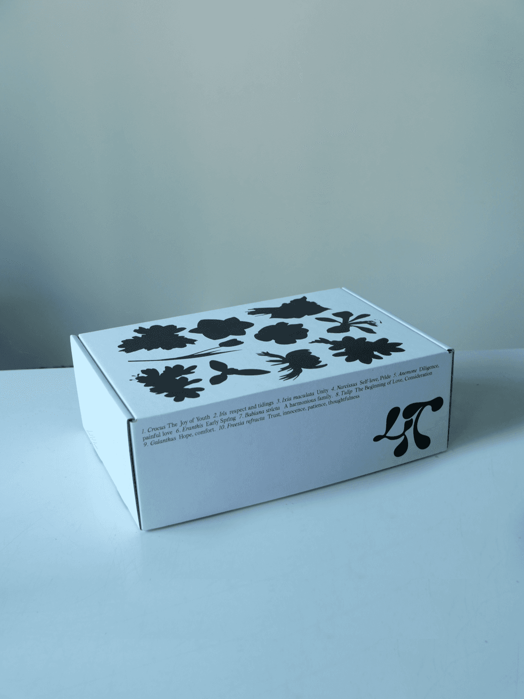 Narcissus and Grape Hyacinth Kit