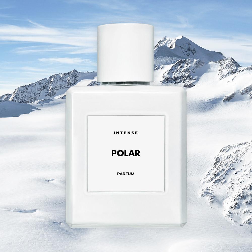 폴라 50ml 인텐스 니치향수 047 POLAR (실버 마운틴 워터)