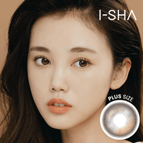 오리아나 엣지 플러스 브라운