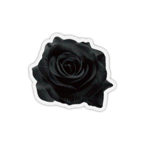 Black Rose 톡