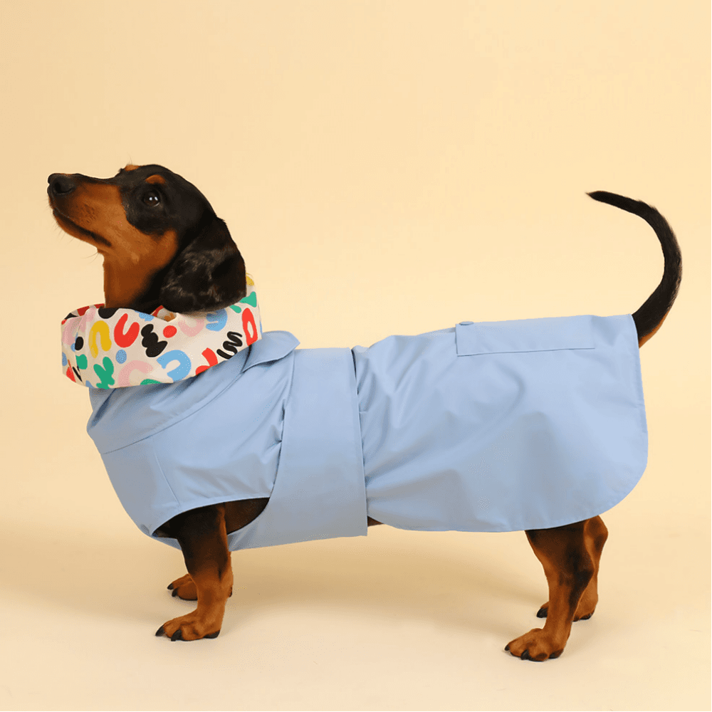 강아지우비 프리미엄 트렌치 레인코트 Sky blue