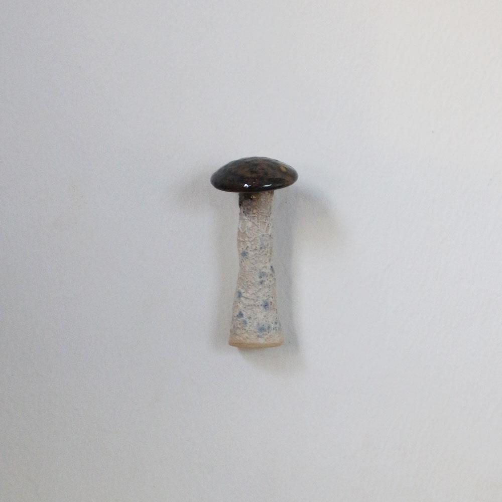 magnetic(mushroom07)