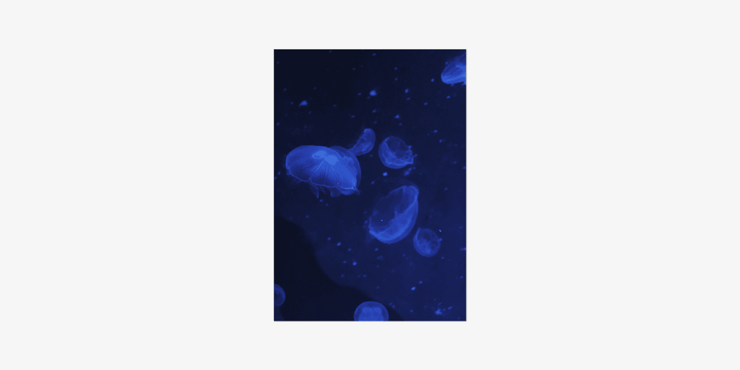 poster 04 A3 size