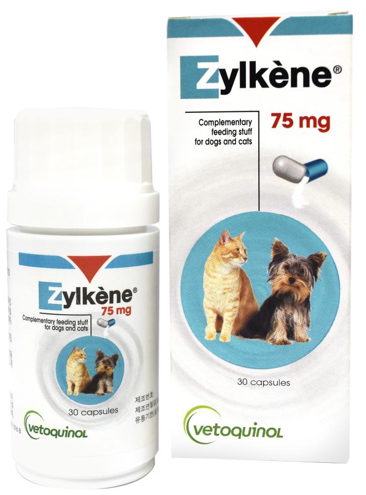베토퀴놀 고양이 질켄75mg 스트레스 완화보조제