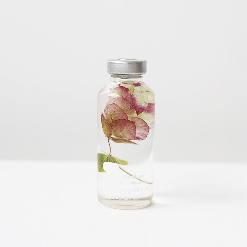 식물표본 30ml_Hydrangea macrophylla