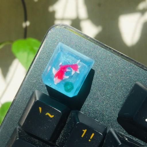 키보드 위에 작은 어항🐟