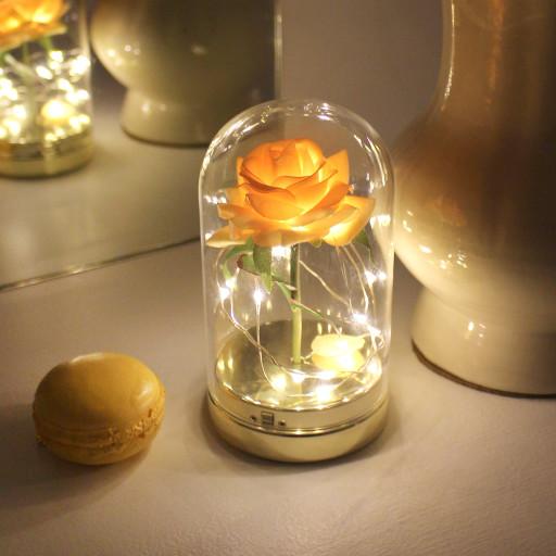 [B급할인] 🌙클리어런스세일💕플라워 LED 무드등