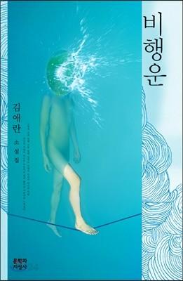 비행운