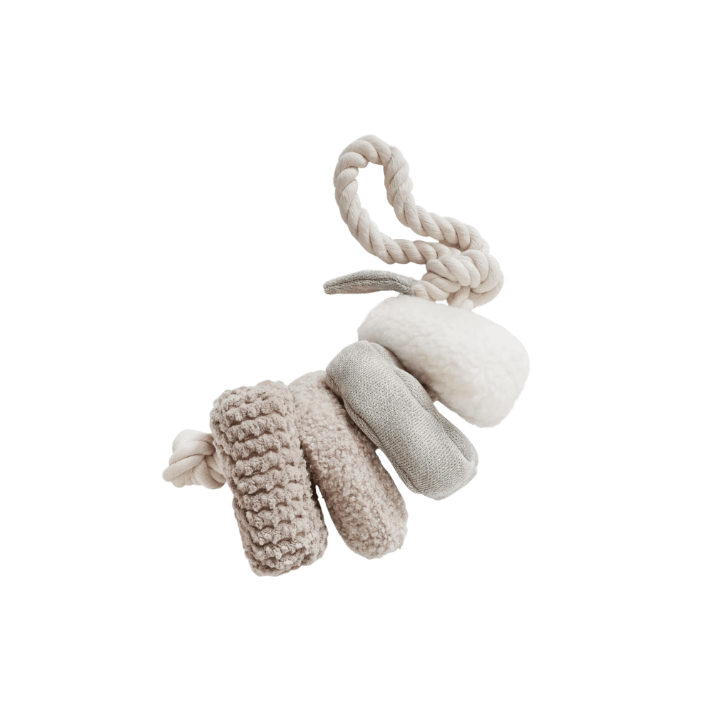 Blocs Enrichment Dog Toy