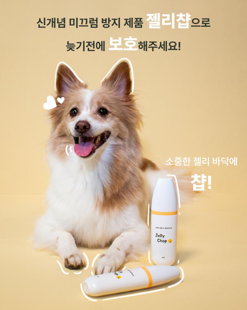 두루두루 젤리챱 강아지 미끄럼방지 보습제 슬개골탈구 예방 발사탕 풋밤 에센스 30ml