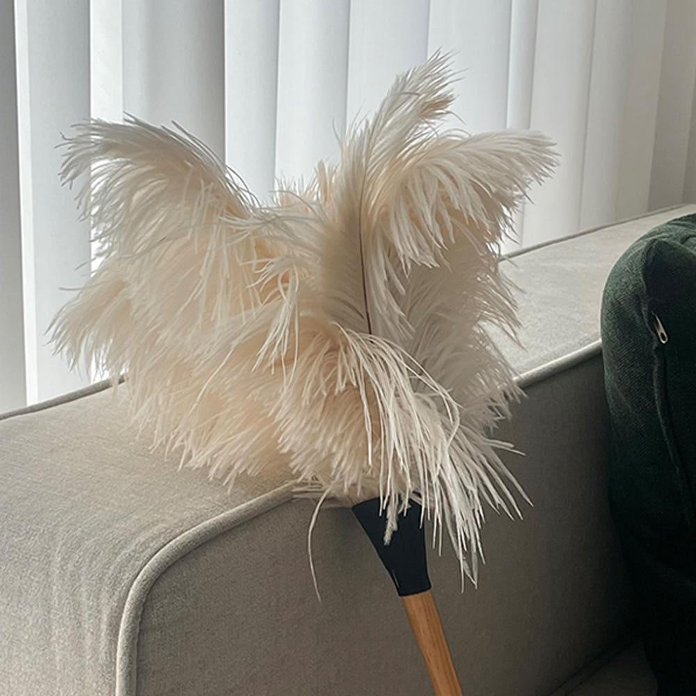 레데커 타조털 먼지털이개 먼지떨이 화이트(50cm)468809 