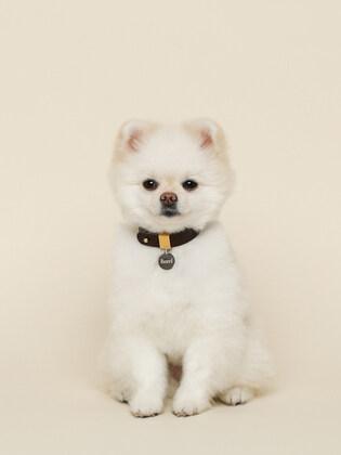 인식표_Circle Name tag (3colors)