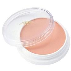 미쯔요시 그리스 페인트 컨실러 21P