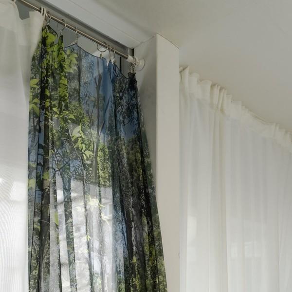 Passing forest Poster
