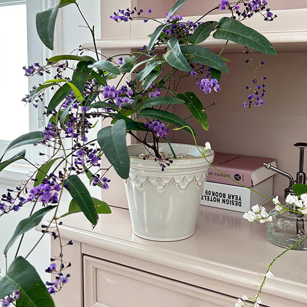 일일미학 클레어팟 고급 도자기 유약분 예쁜 분갈이 화분 3colors