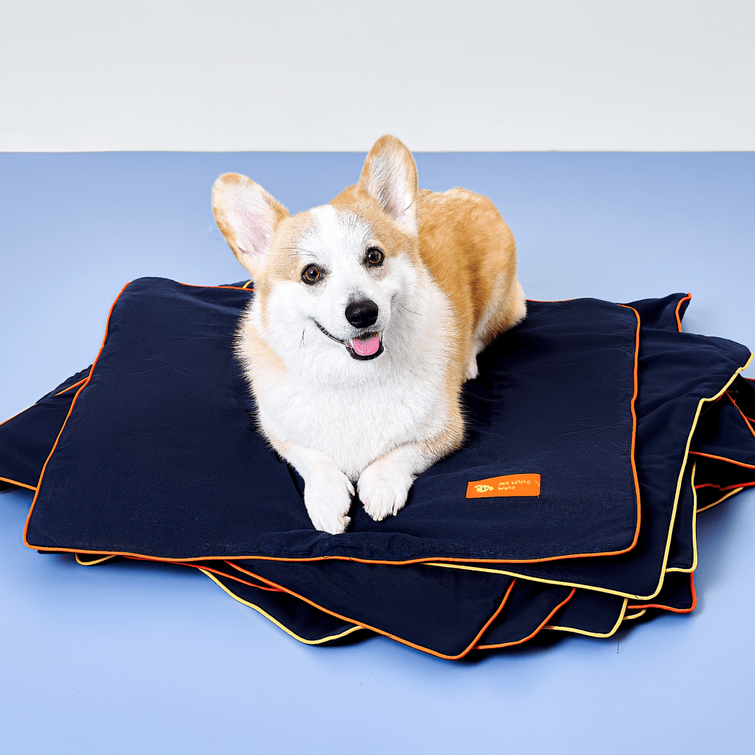 마이리틀울프 스프레드 게임 노즈워크 매트 (스트롱/소프트)