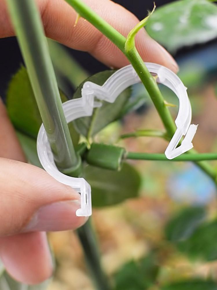 식물클립 10P세트 식물고정 지지대 나뭇가지 고정