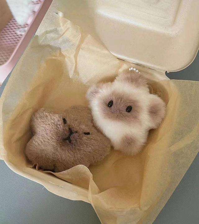 [키링] 별 카피바라/고양이 키링