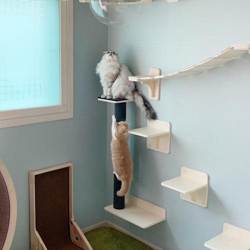 벽 수직 스크레쳐 타워 90cm