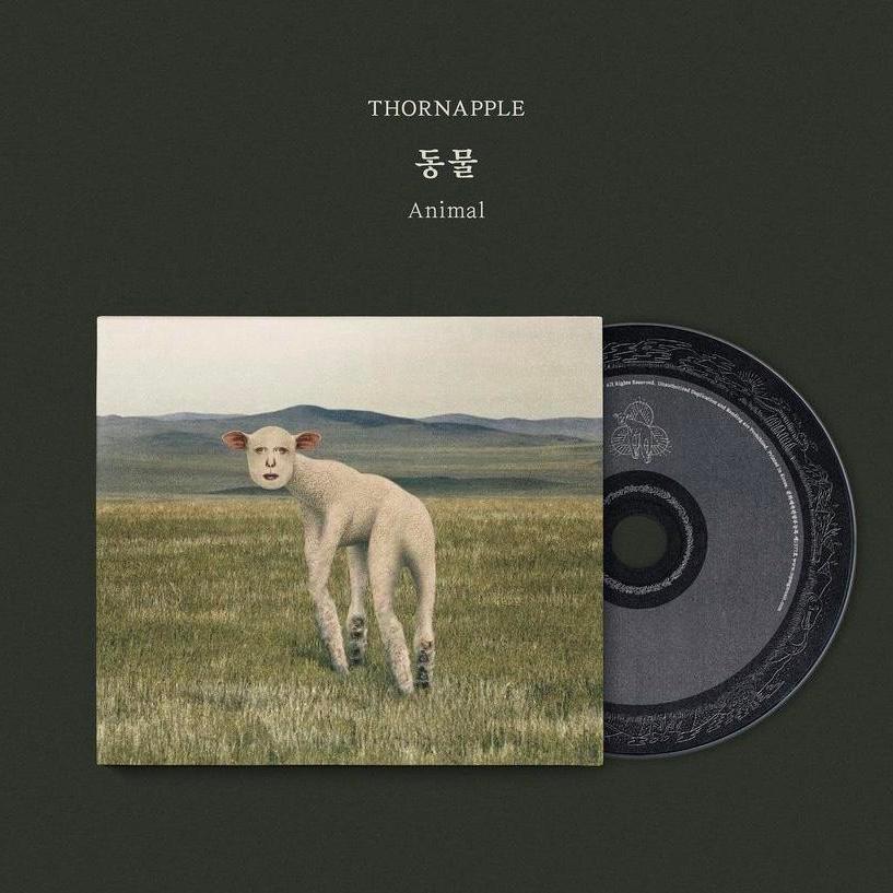 쏜애플 동물ep 일반반 판매