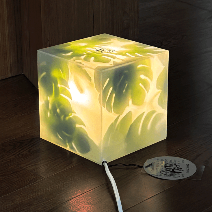 Green Light - Monstera 몬스테라