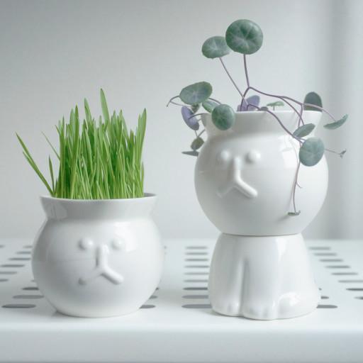고양이 셋업 화분 세라믹 팟 (화이트)