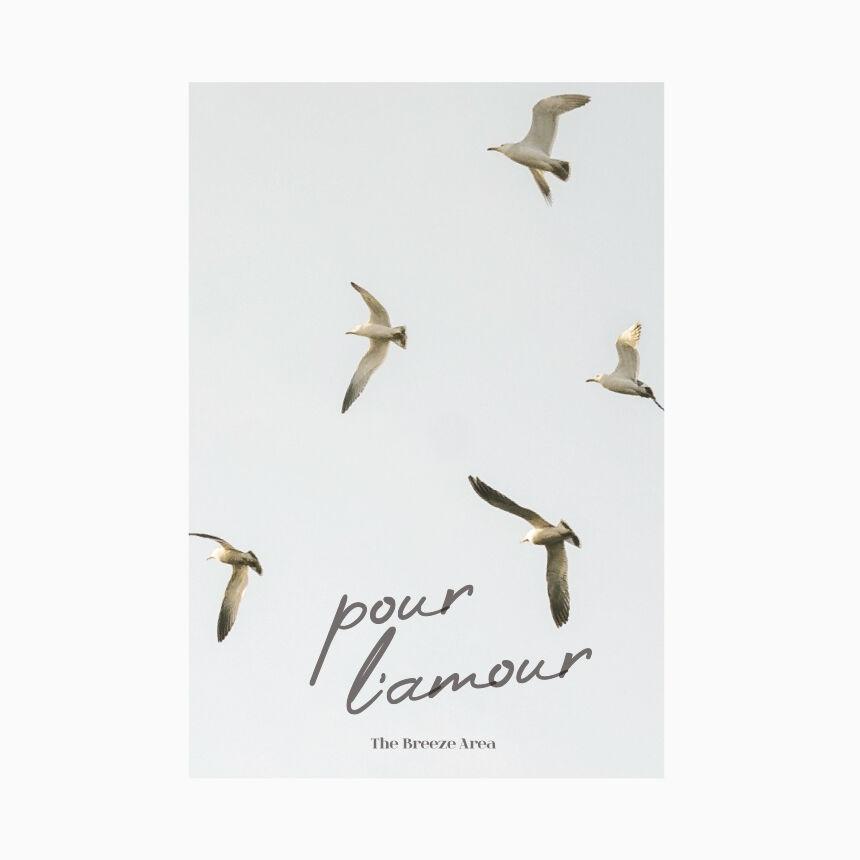 TBA 포스트카드 nature - bird  012